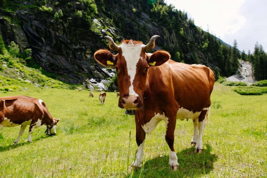 Prevenzione e protezione dei rischio biologici