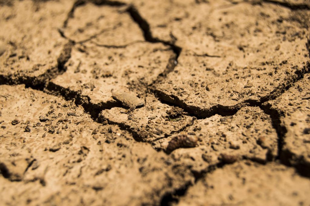 Sicurezza e ambiente. Emergenza siccità