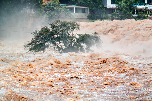 Allerta meteo. Nel varesotto alberi abbattuti e torrente esondato