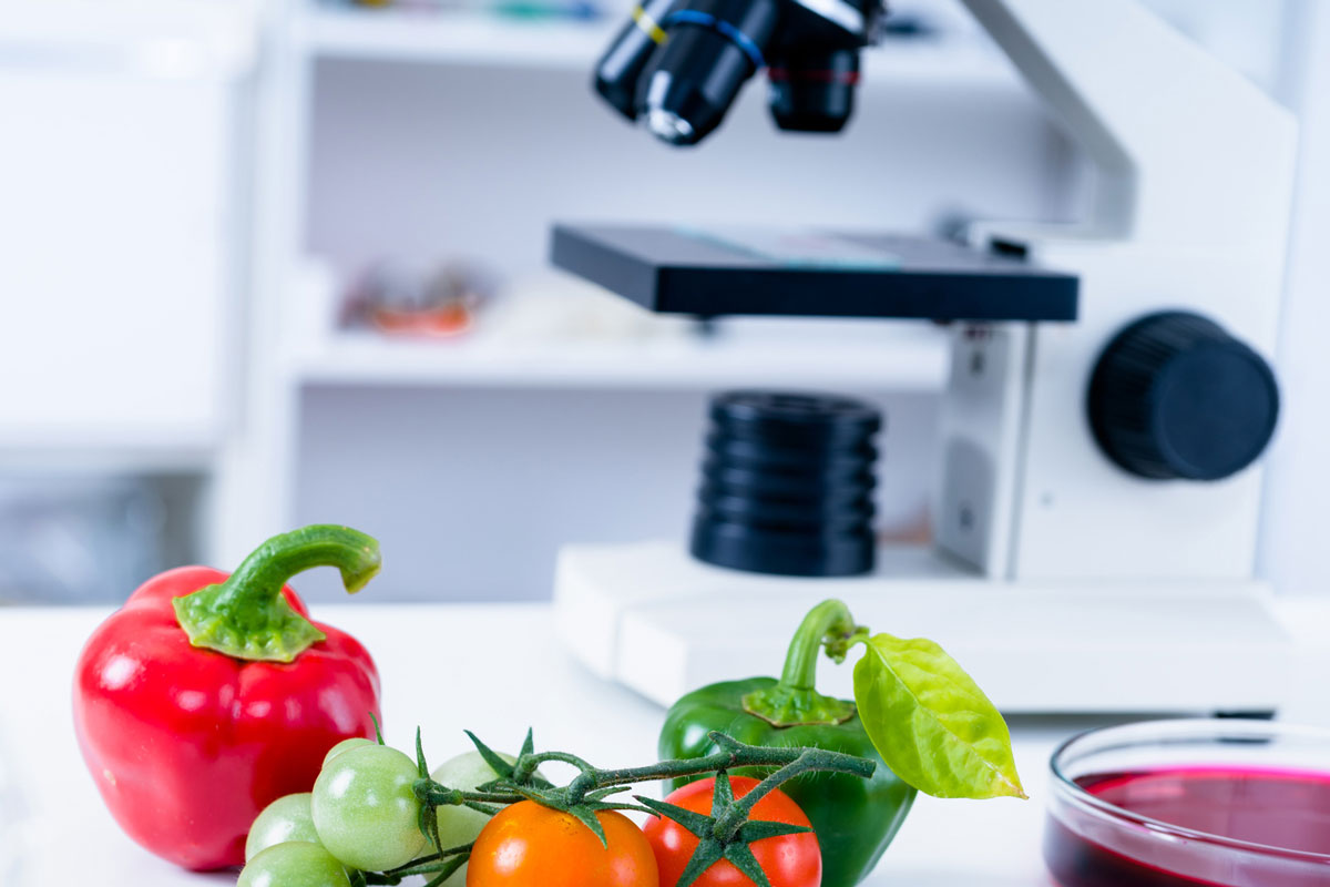 Analisi di laboratorio su alimenti freschi per controllo HACCP e sicurezza alimentare