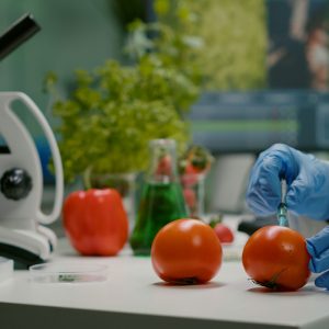 Analisi di laboratorio su alimenti freschi per controllo HACCP e sicurezza alimentare