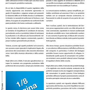 1/8 pagina interna