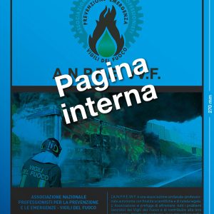 Pagina interna