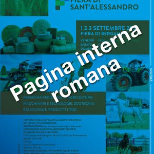 Pagina interna romana
